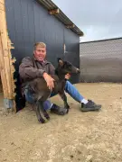 Cause of death revealed for Vegas veterinarian Shawn Frehner who went missing after being caught on camera kicking horse in face